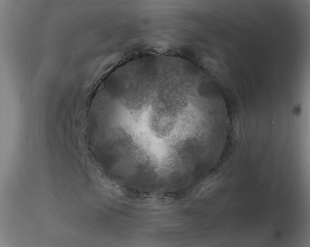 X0000116791105200912181247