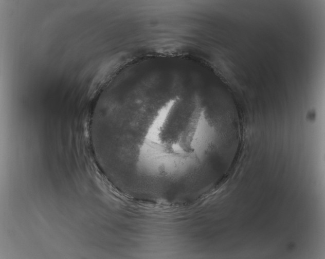 X0000116791106200912181247
