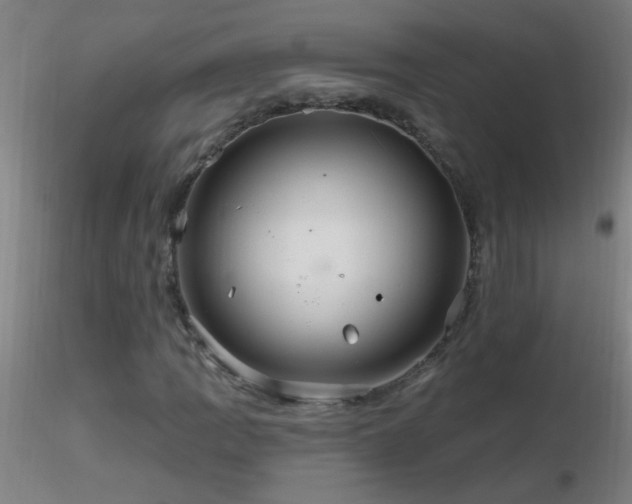 X0000116791109200912181247