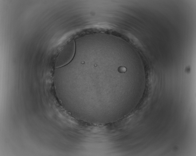 X0000116791110200912181247