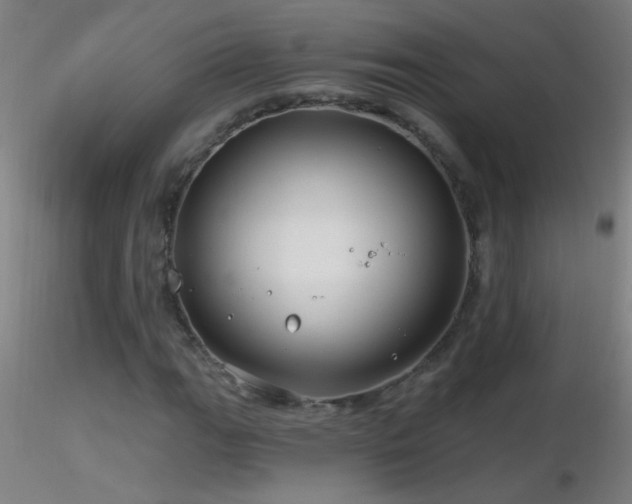 X0000116791111200912181247