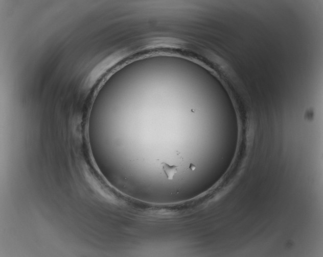 X0000116791113200912181247