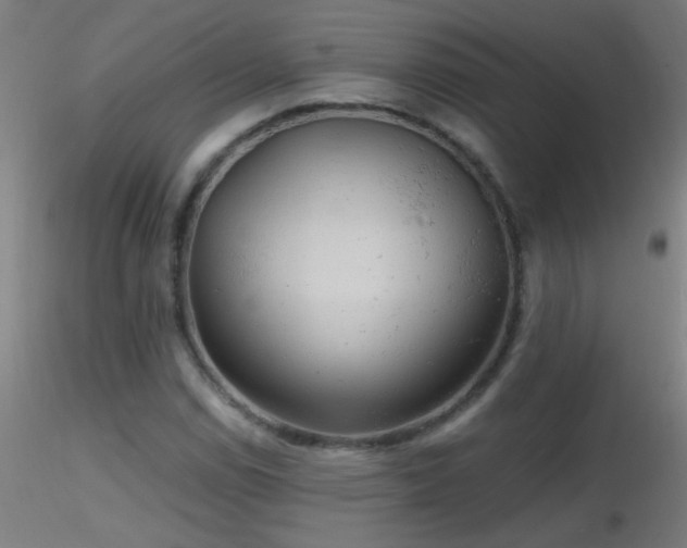 X0000116791114200912181247