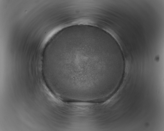 X0000116791115200912181247
