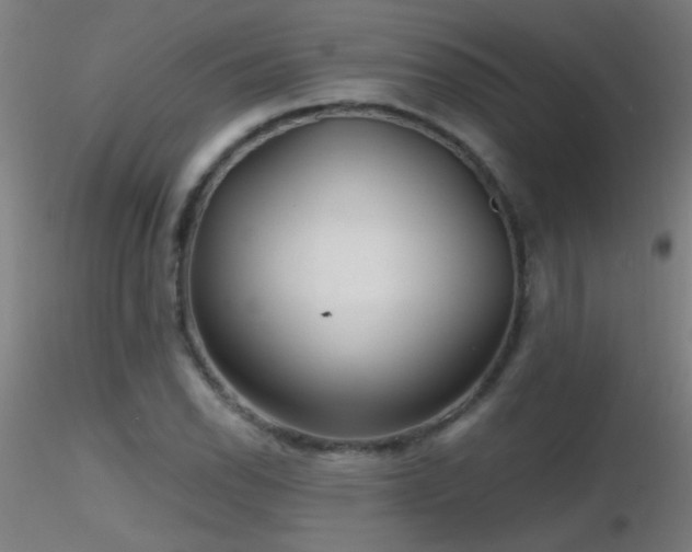 X0000116791118200912181247