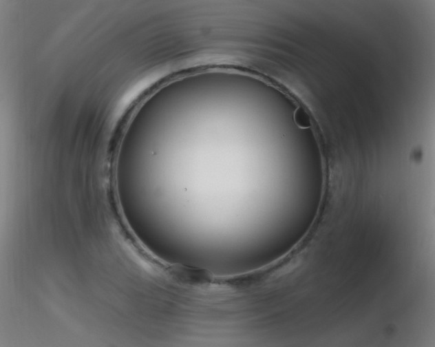 X0000116791119200912181247