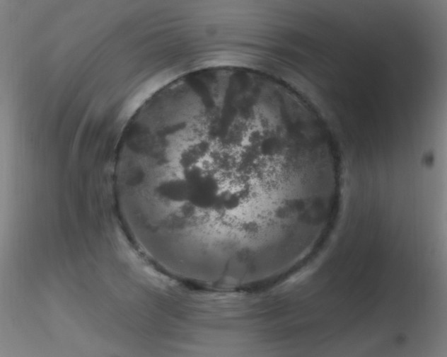 X0000116791121200912181247