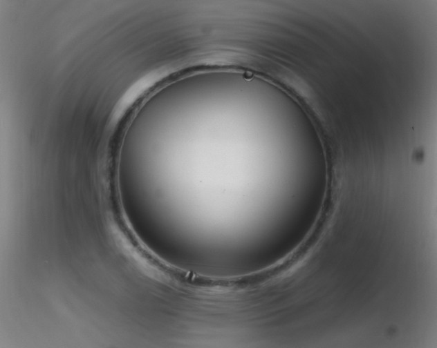 X0000116791122200912181247