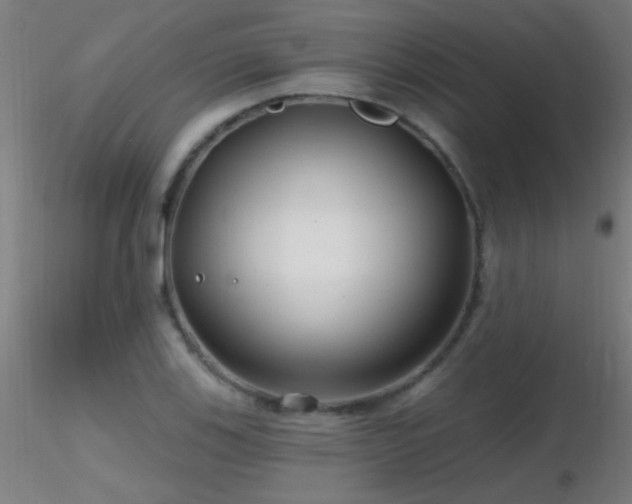 X0000116791123200912181247