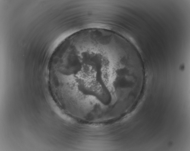 X0000116791125200912181247