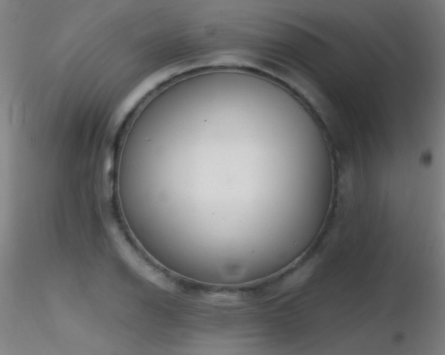 X0000116791126200912181247