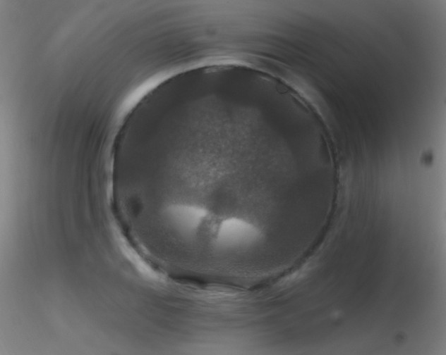 X0000116791127200912181247