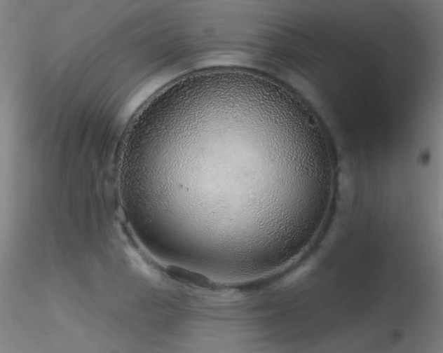 X0000116791129200912181248