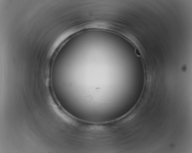 X0000116791131200912181248