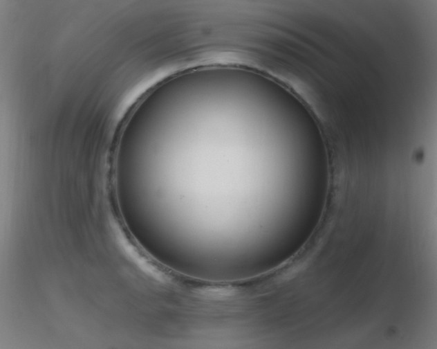 X0000116791134200912181248