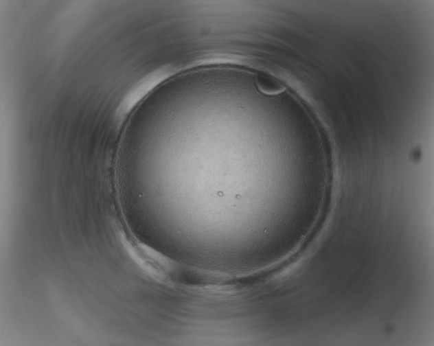 X0000116791137200912181248