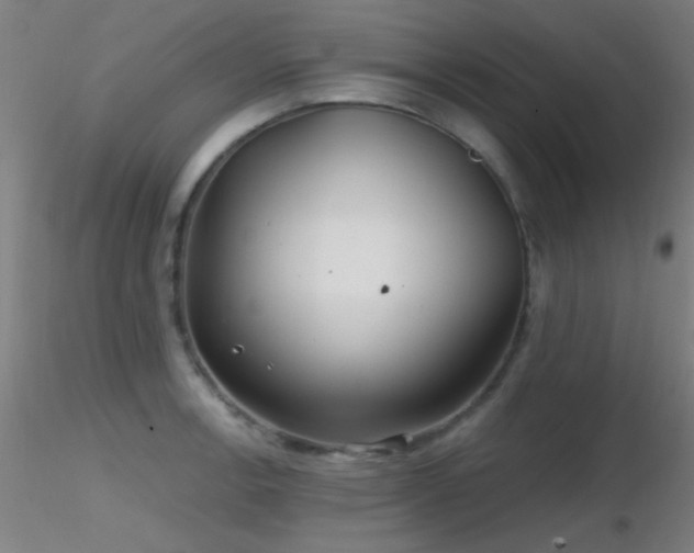 X0000116791138200912181248