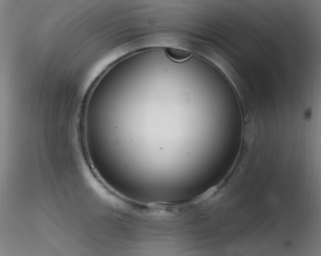 X0000116791139200912181248