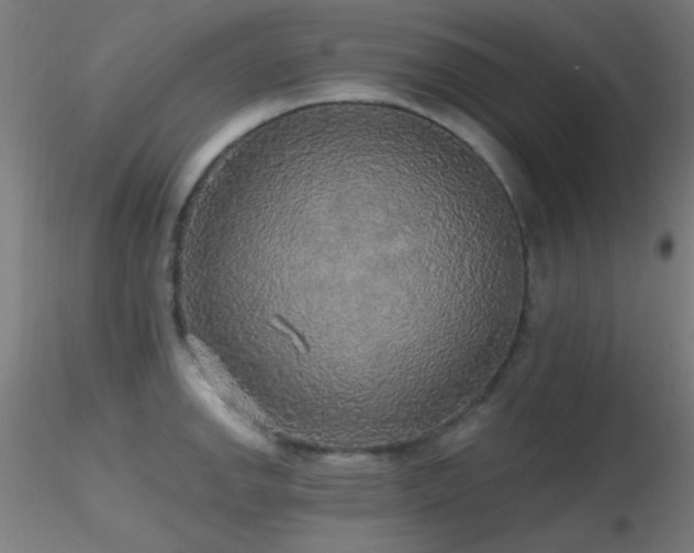 X0000116791142200912181248