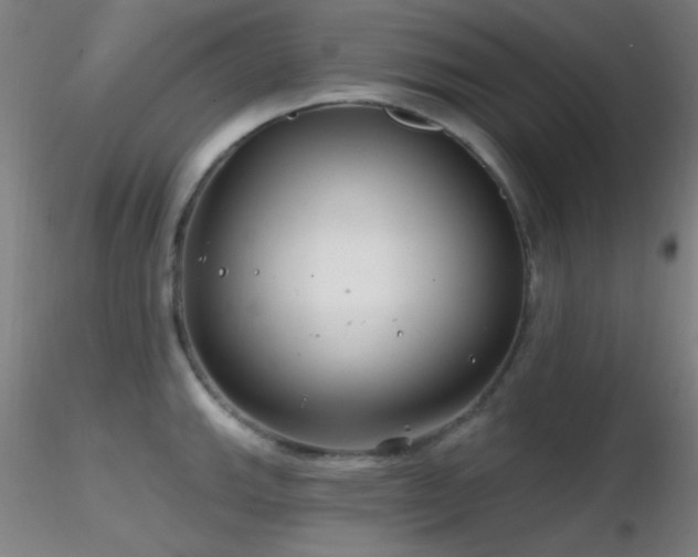 X0000116791143200912181248
