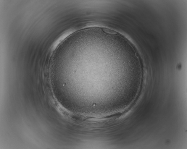 X0000116791145200912181248