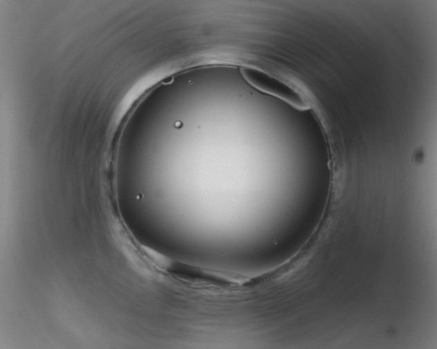 X0000116791146200912181248