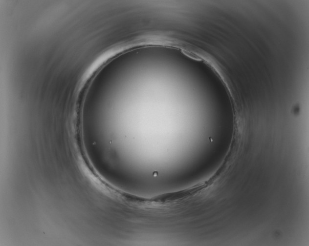 X0000116791147200912181248
