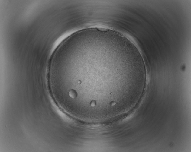 X0000116791149200912181248