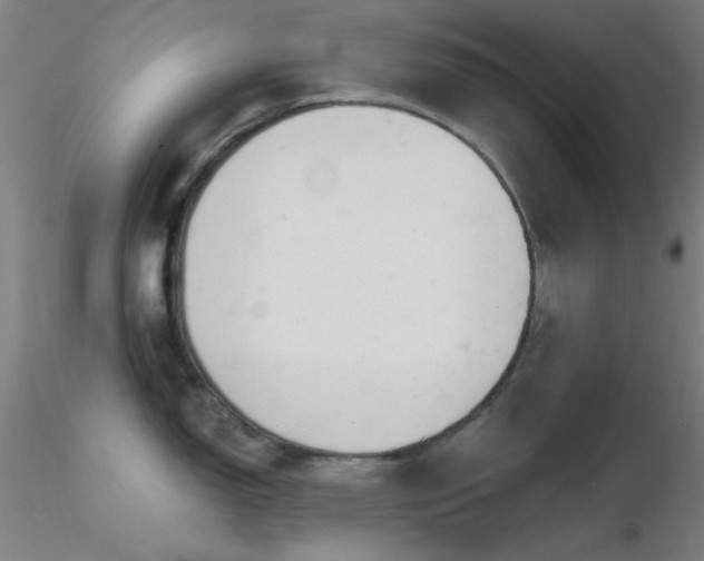 X0000116791150200912181248
