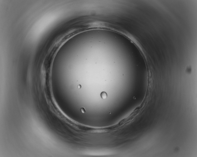 X0000116791151200912181248