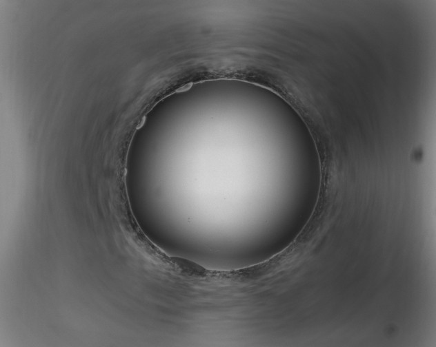 X0000116791153200912181247