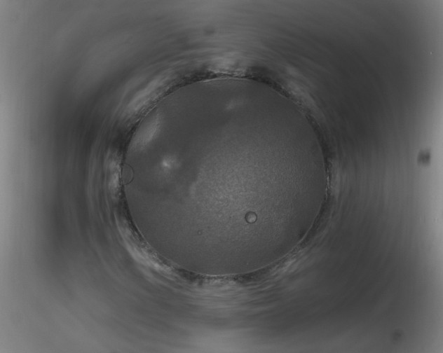 X0000116791154200912181247