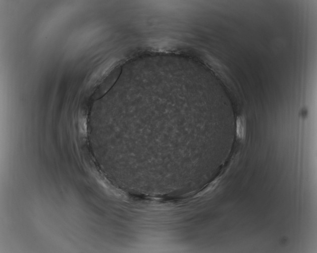 X0000116791155200912181247