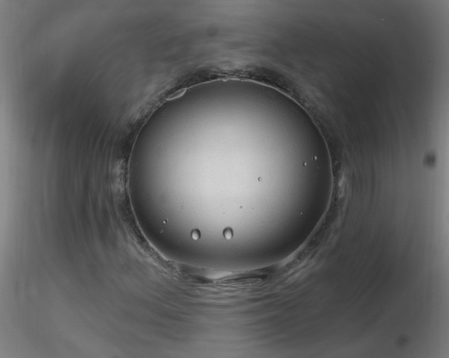 X0000116791156200912181247
