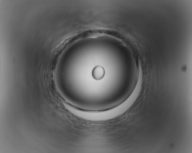 X0000116791157200912181247