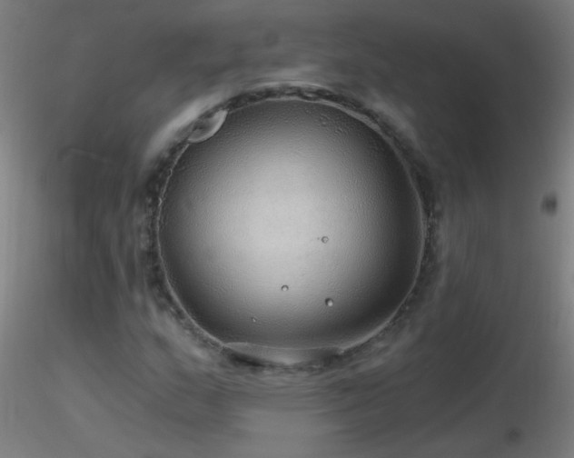 X0000116791159200912181247