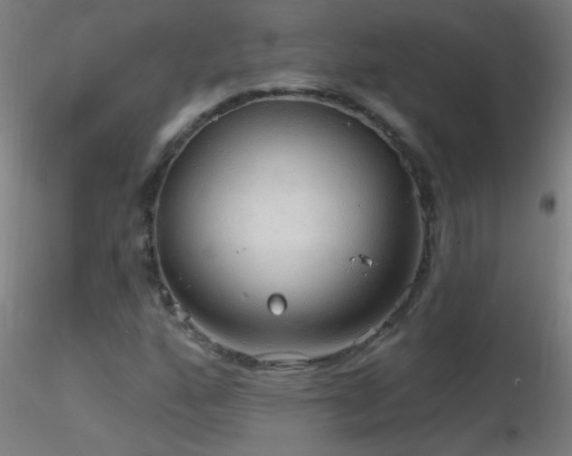 X0000116791160200912181247
