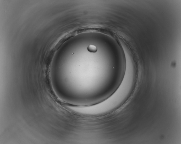 X0000116791161200912181247