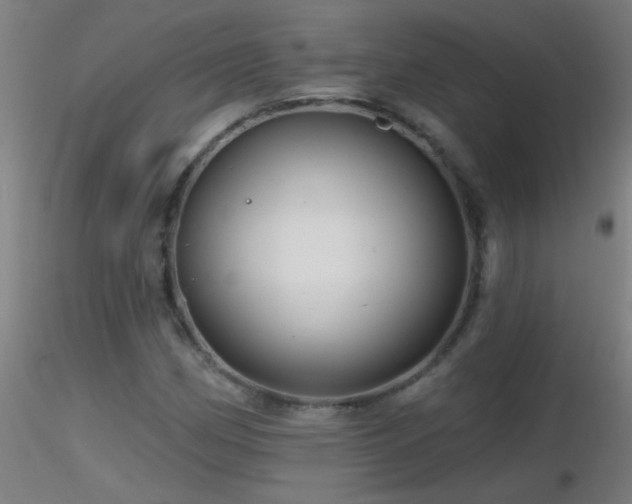 X0000116791162200912181247