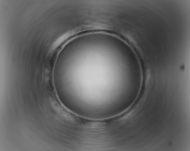 X0000116791163200912181247