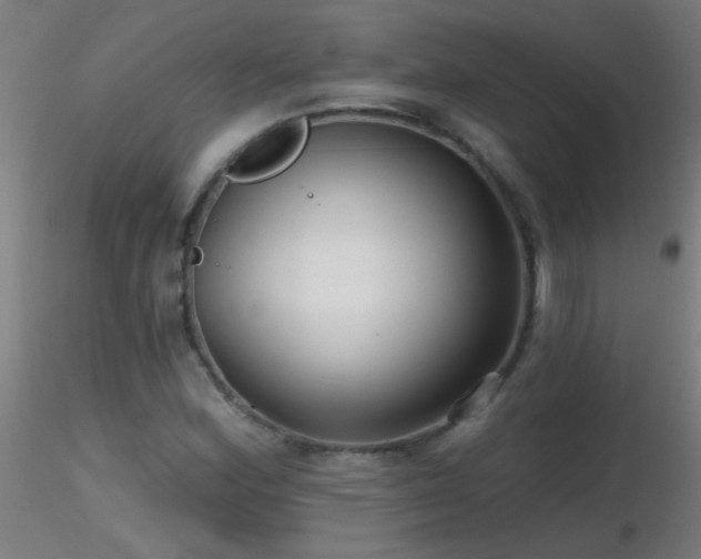 X0000116791164200912181247