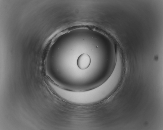 X0000116791165200912181247