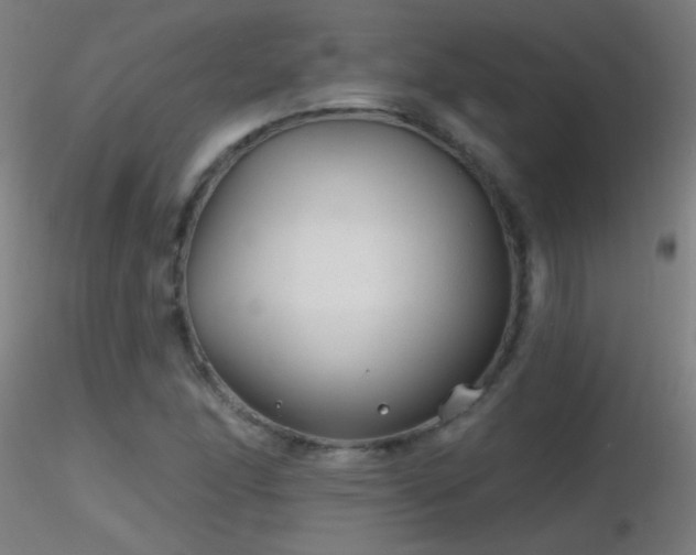 X0000116791166200912181247