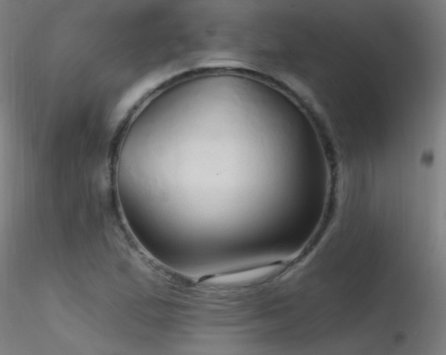 X0000116791167200912181247