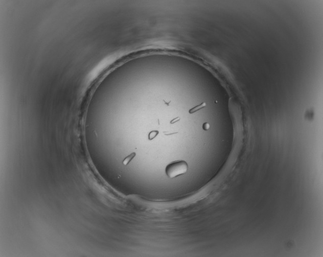 X0000116791168200912181247