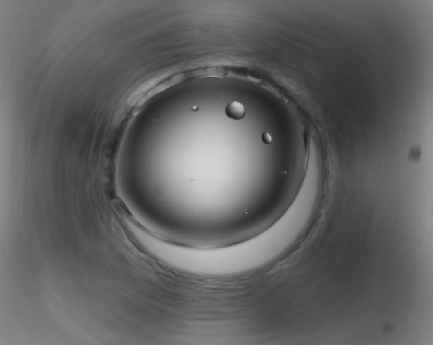 X0000116791169200912181247