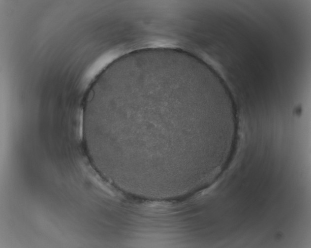 X0000116791171200912181247