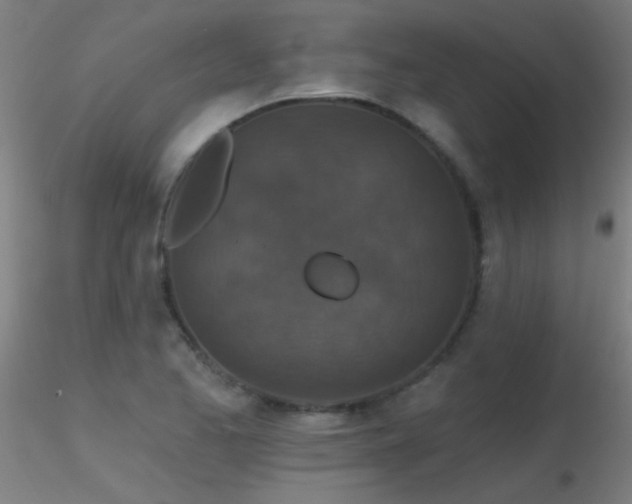 X0000116791173200912181247