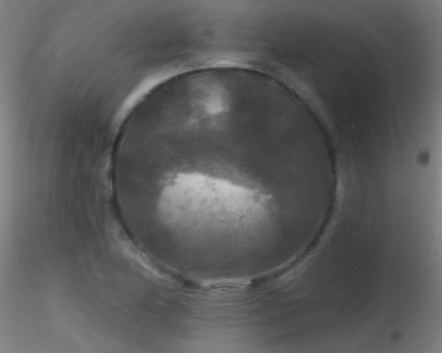 X0000116791174200912181247