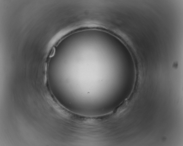 X0000116791175200912181247